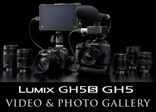 Lumix GH5S GH5 Video & Photo Gallery