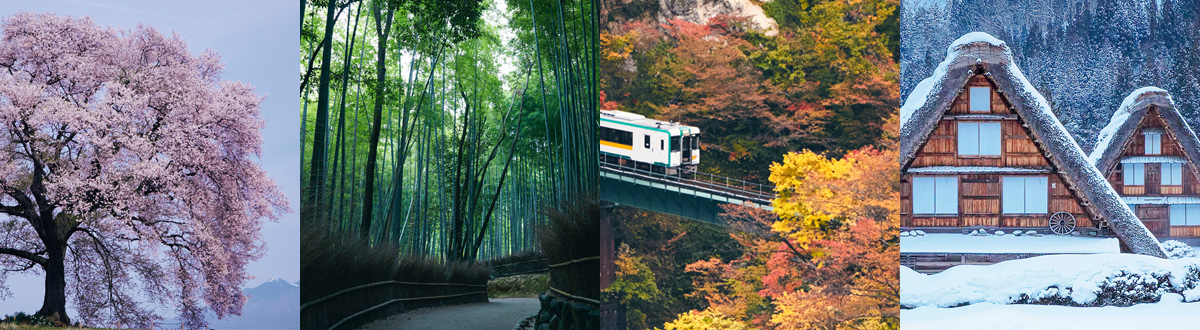 Faithfull Images with Natural Colouring