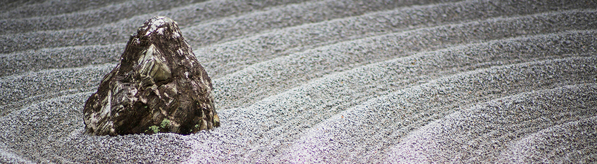 Timeless Aesthetic with Purpose