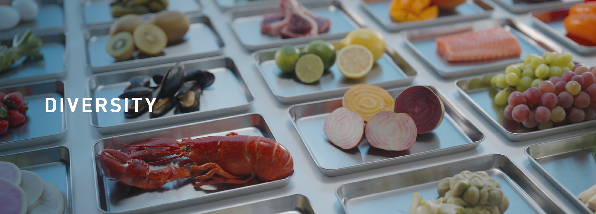 DIVERSITY. A variety of fresh ingredients on trays for testing.