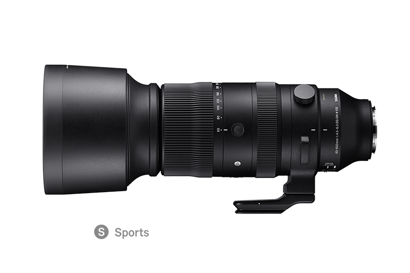 Future "challenges" as described by each company