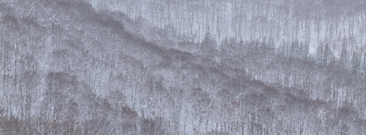 What is a sense of humidity?