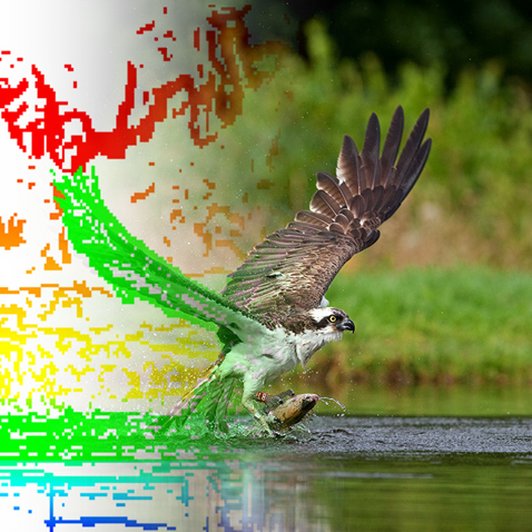 Fast-moving Subjects