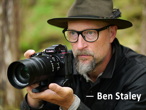 Krajobrazy i dzika przyroda na Wyspie Księcia Walii w Alasce