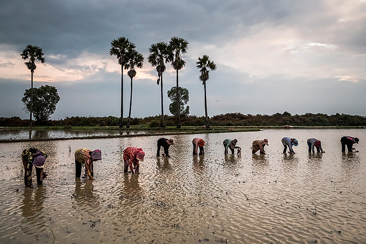 LUMIX GH5 DANIEL BEREHULAK