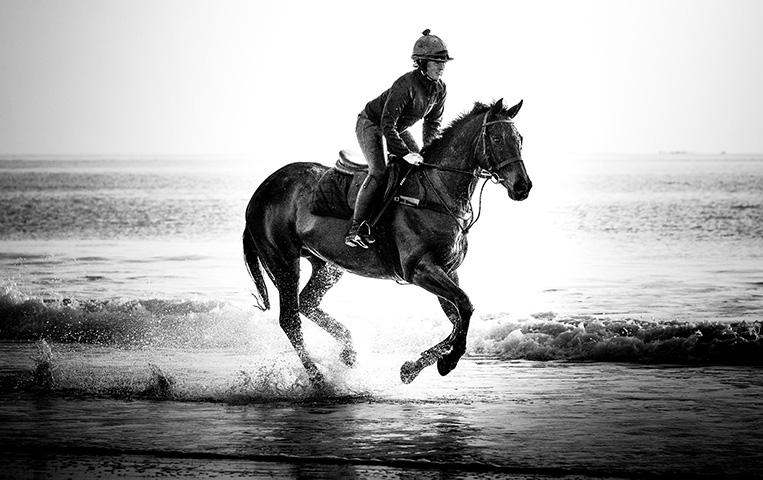 LUMIX GH5 ROSS GRIEVE