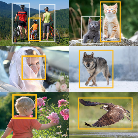 AF de alta velocidade e alta precisão