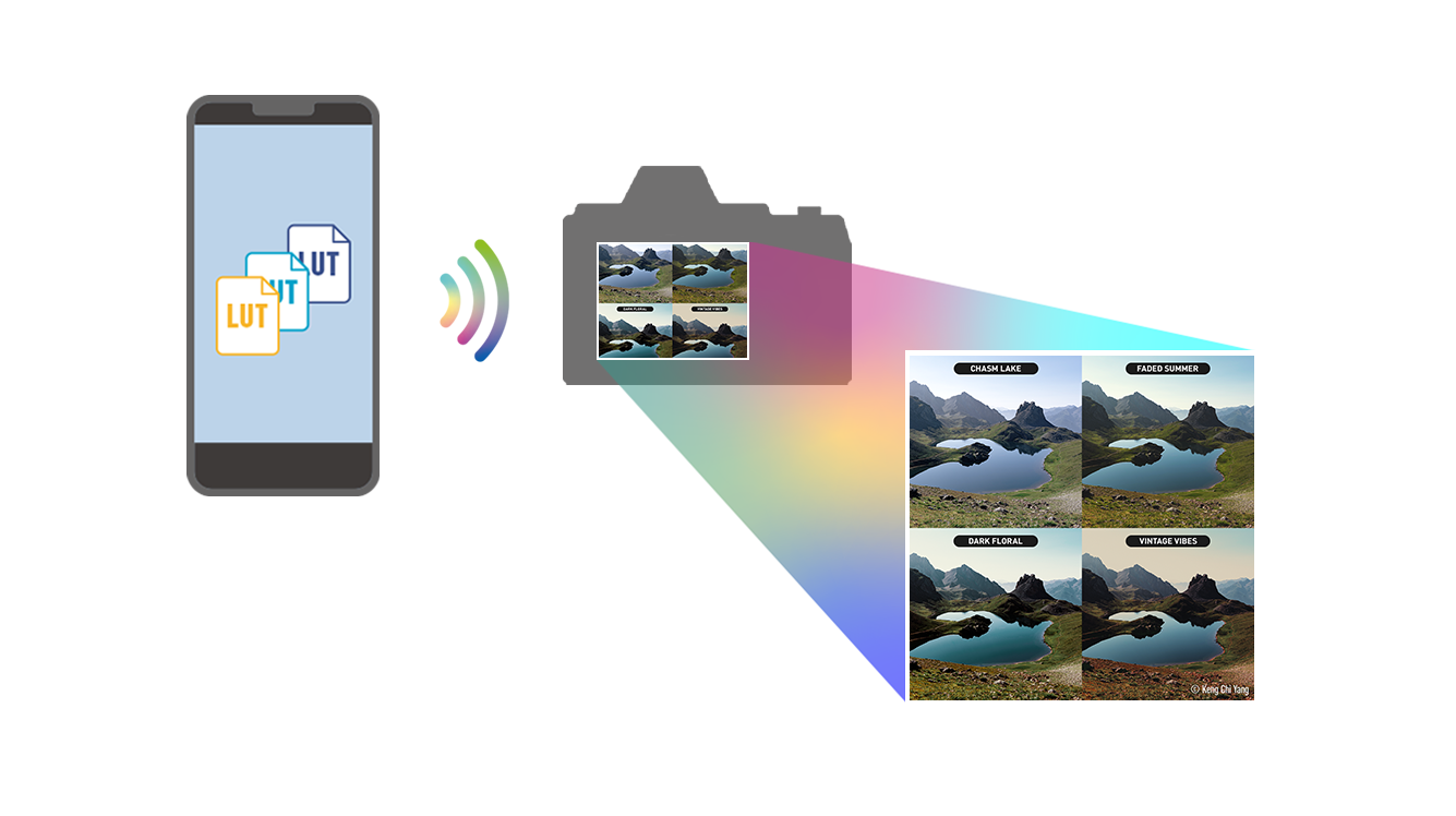 Transfer LUTs to camera / REAL TIME LUT