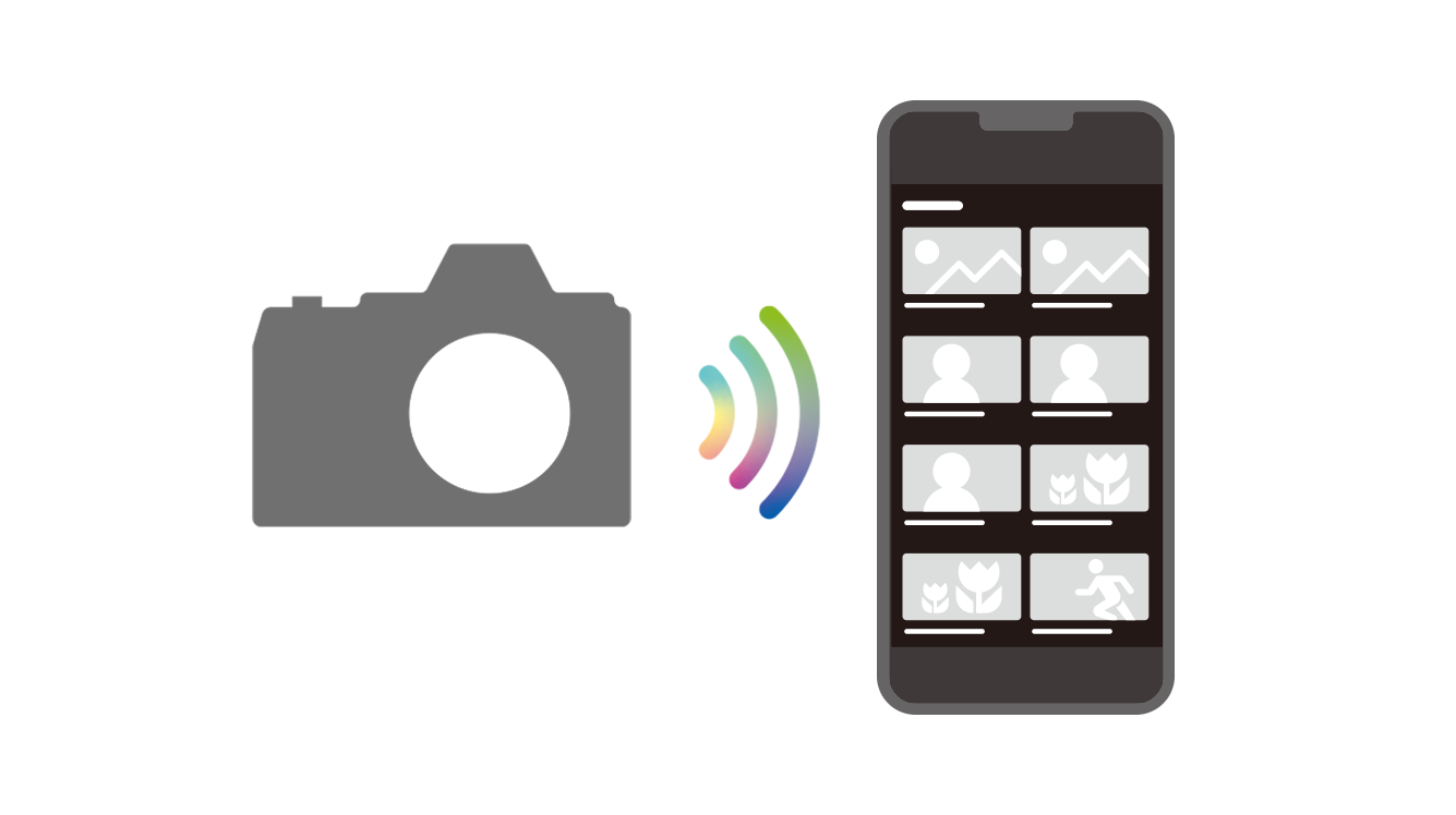 Transfer Photos and Videos