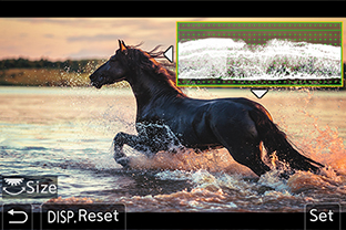  Замер уровня яркости — Векстороскоп