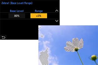 Замер уровня яркости – шаблон «Зебра» 