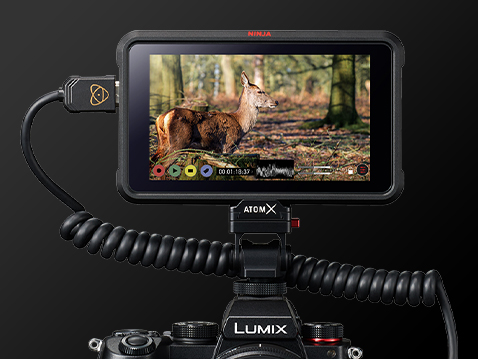 4:2:2 10 биттік ішкі жазу / HDMI шығысы