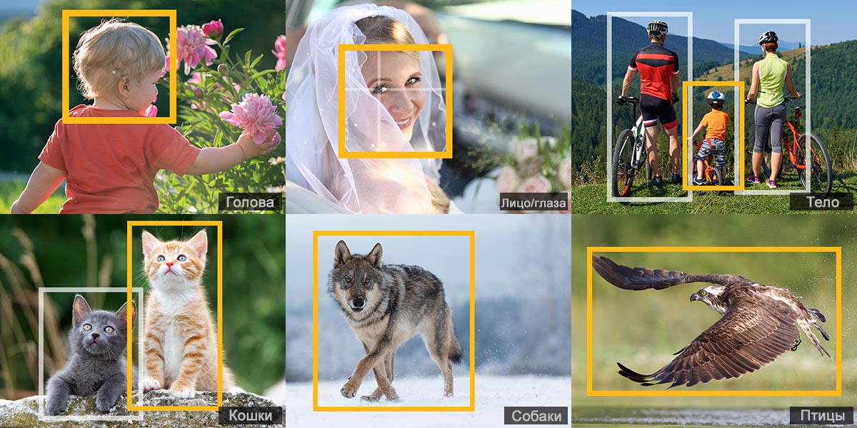 Передовые базовые возможности