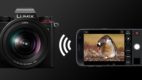 Wi-Fi 5 ГГц / Bluetooth / Приложение LUMIX Sync