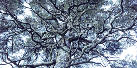 Zobowiązanie LUMIX do zapewnienia najwyższej jakości obrazu