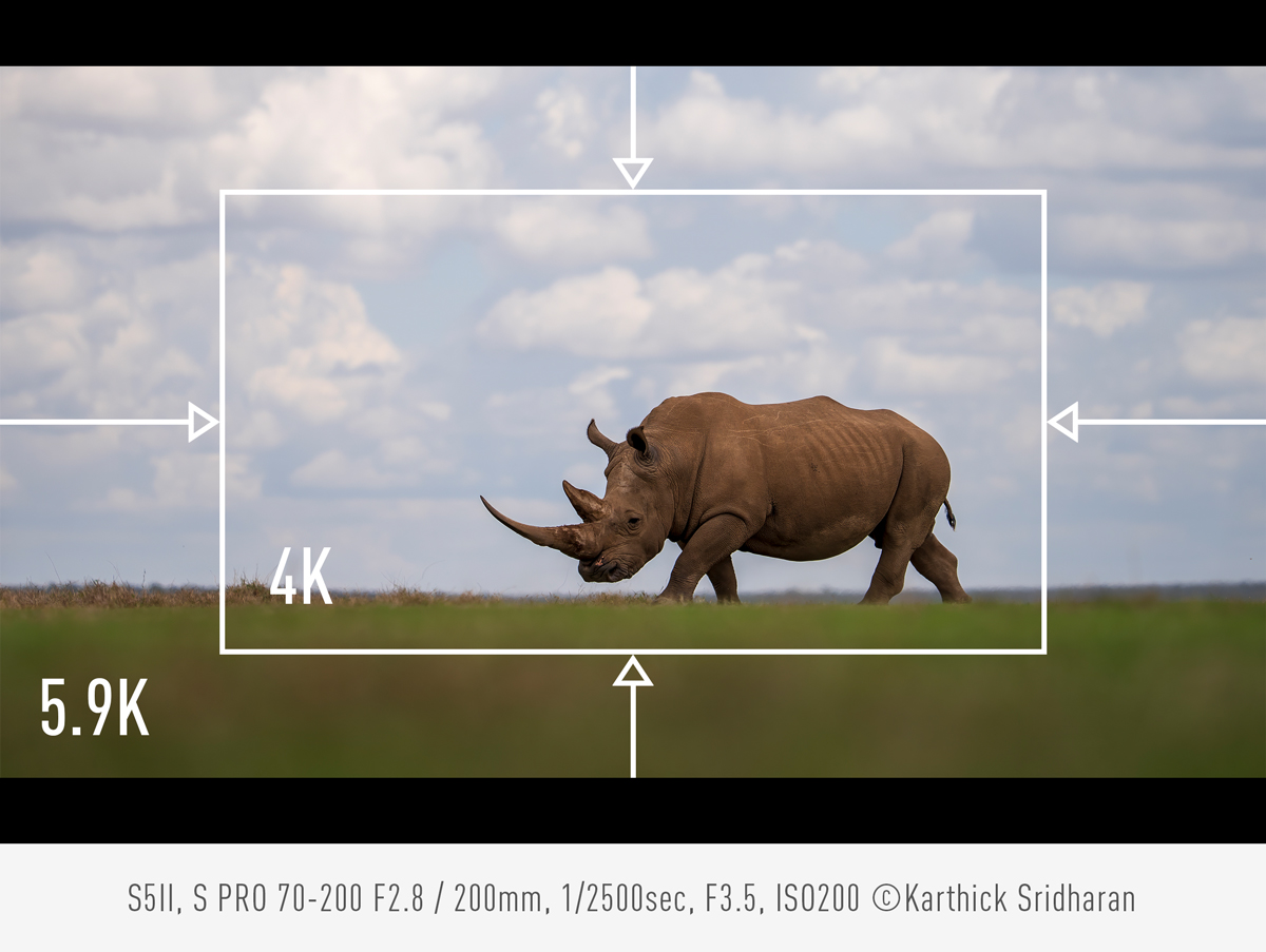 Real-time pan, tilt and zoom