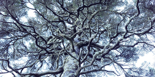 LUMIX apņemšanās nodrošināt vislabāko attēla kvalitāti