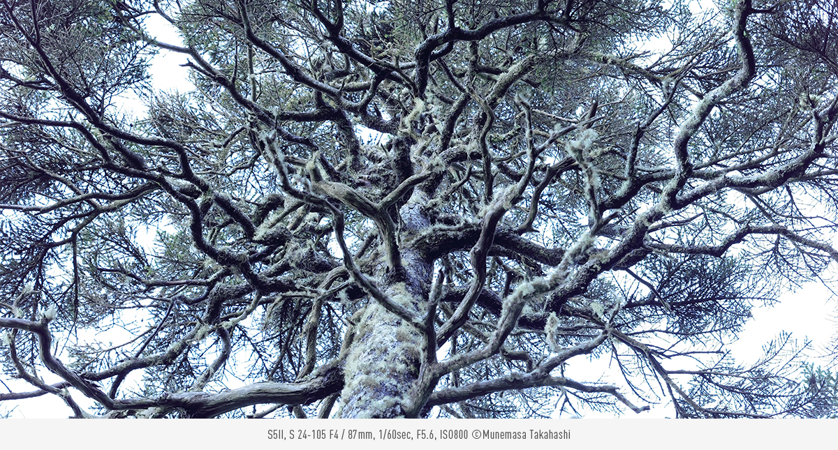 LUMIXin sitoumus verrattomaan kuvanlaatuun