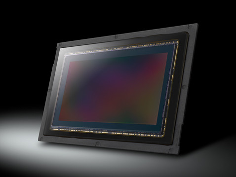 24.2MP CMOS sensor with Dual Native ISO technology