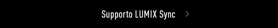 Supporto LUMIX Sync