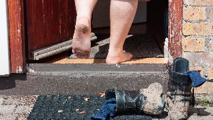 Mucor (teniendo en cuenta la transferencia del moho transportado por el aire, del suelo al entorno doméstico)4