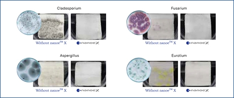 A thumbnail of a modal window showing that nanoe™ X is highly effective against adhered moulds
