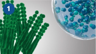 nanoe™ X llega al moho.