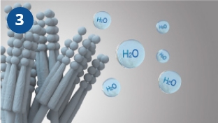 Se inhibe la formación de moho.