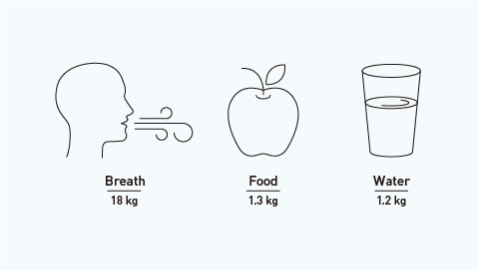1. Each of us breathes in 18 kg of air a day.