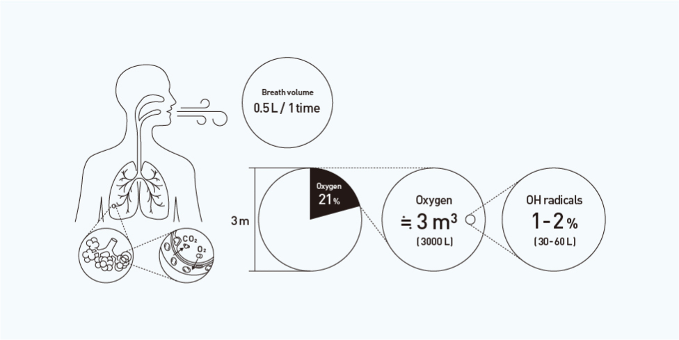 5. When this oxygen enters the body, 1­–2% is turned into radicals. Hydroxyl radicals are one type of radical.