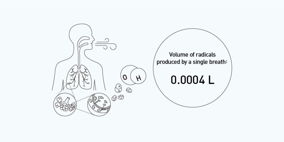 6. Since 2% of the oxygen we breathe turns into radicals, 0.02 L × 0.02 = 0.0004 L, so 0.0004 L of radicals are produced by a single breath.
