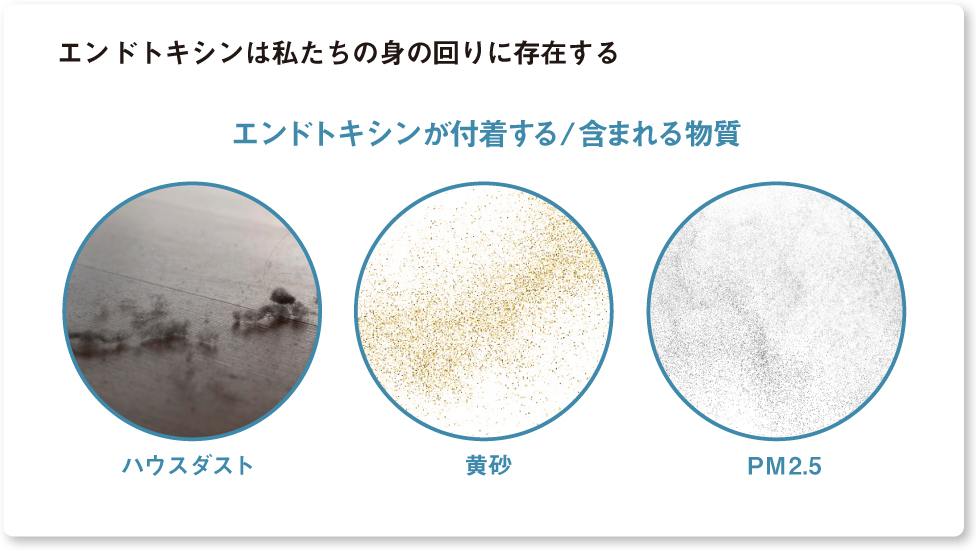 画像：エンドトキシンが付着する／含まれる物質　ハウスダスト、黄砂、PM2.5