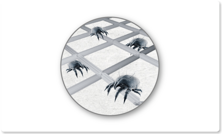 画像：繊維中のダニアレルゲン