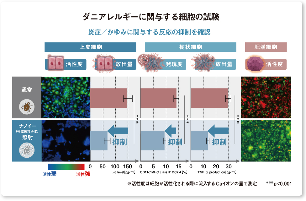 画像：結果の図解　ナノイー（帯電微粒子水）照射後の細胞では活性抑制を確認