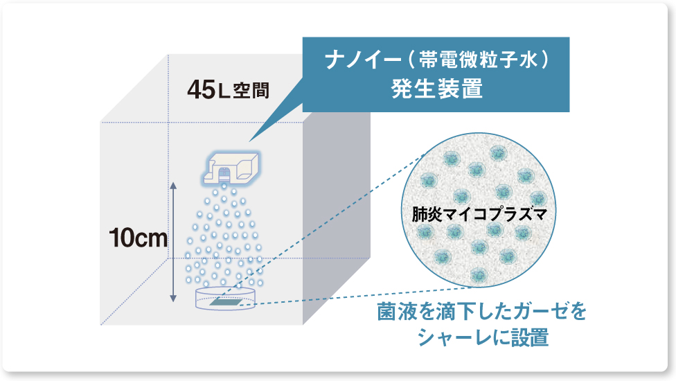画像：実験の図解　 45Lの空間で、肺炎マイコプラズマの菌液を滴下したガーゼに対し、10cmの距離からナノイー（帯電微粒子水）を照射