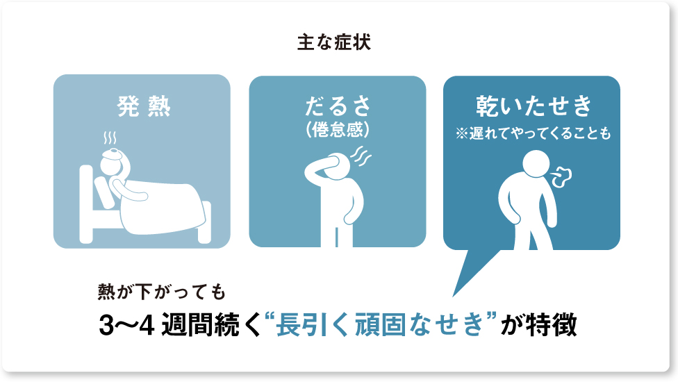 肺炎マイコプラズマの主な症状を示す図。発熱、だるさ（倦怠感）、乾いたせきが特徴で、熱が下がっても3～4週間続く長引く頑固なせきが見られる