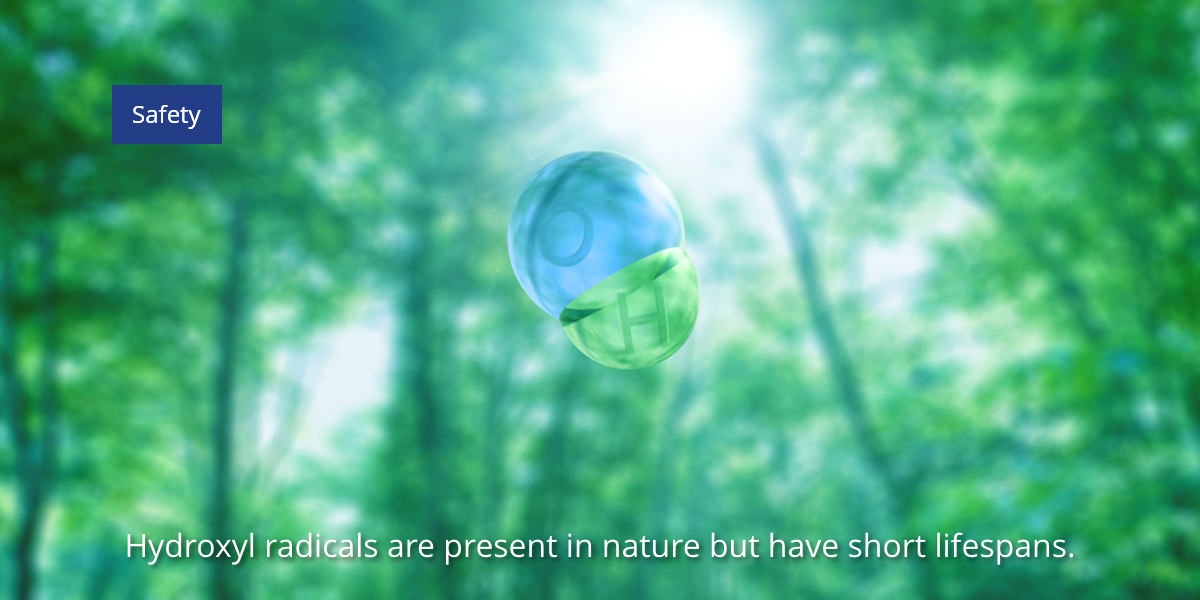 Hydroxyl radicals are present in nature but have short lifespans.
