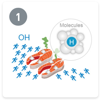 Los radicales hidroxilo de nanoe™ X descomponen las sustancias con olor para desodorizarlas