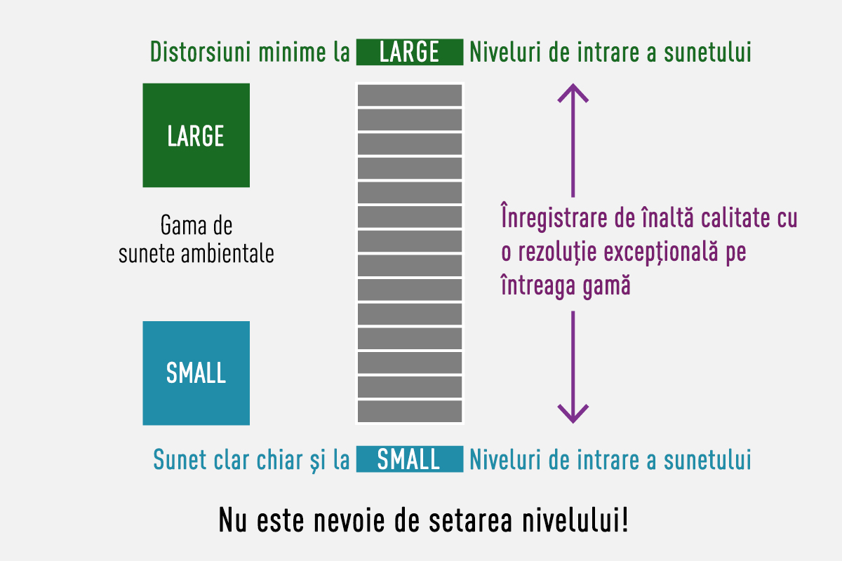 Înregistrare float pe 32 de biți