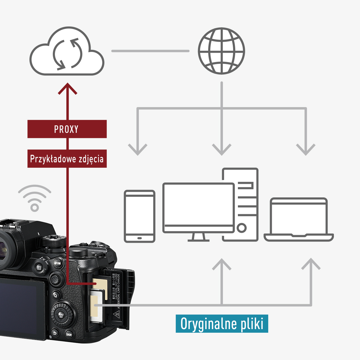Umożliwia udostępnianie w chmurze i pracę zespołową