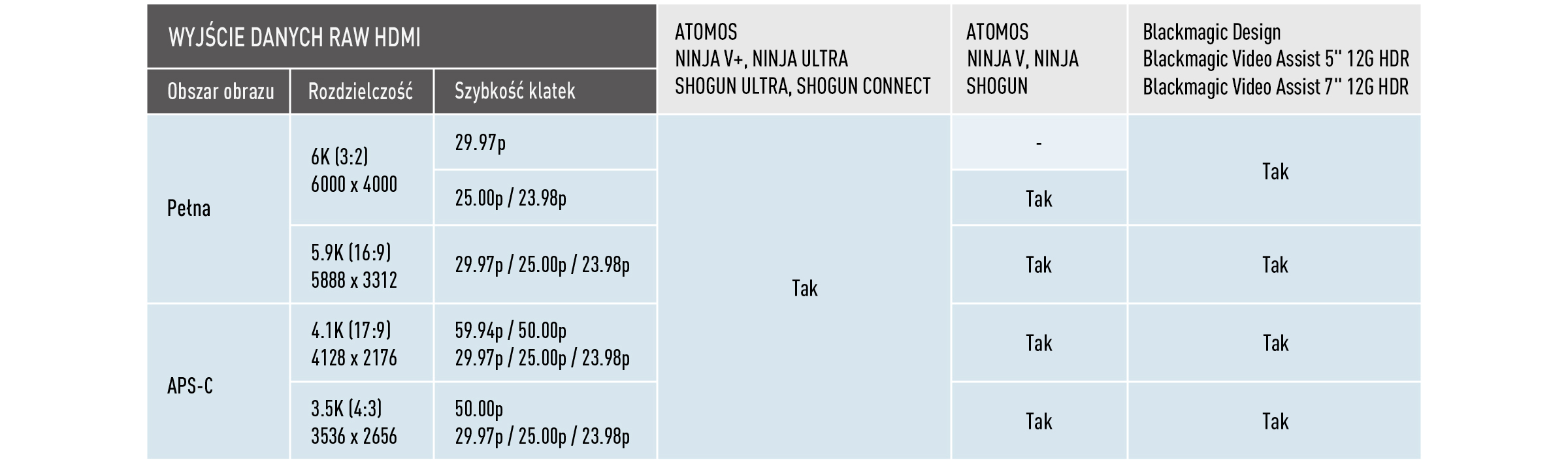 Wyjście danych wideo w formacie RAW