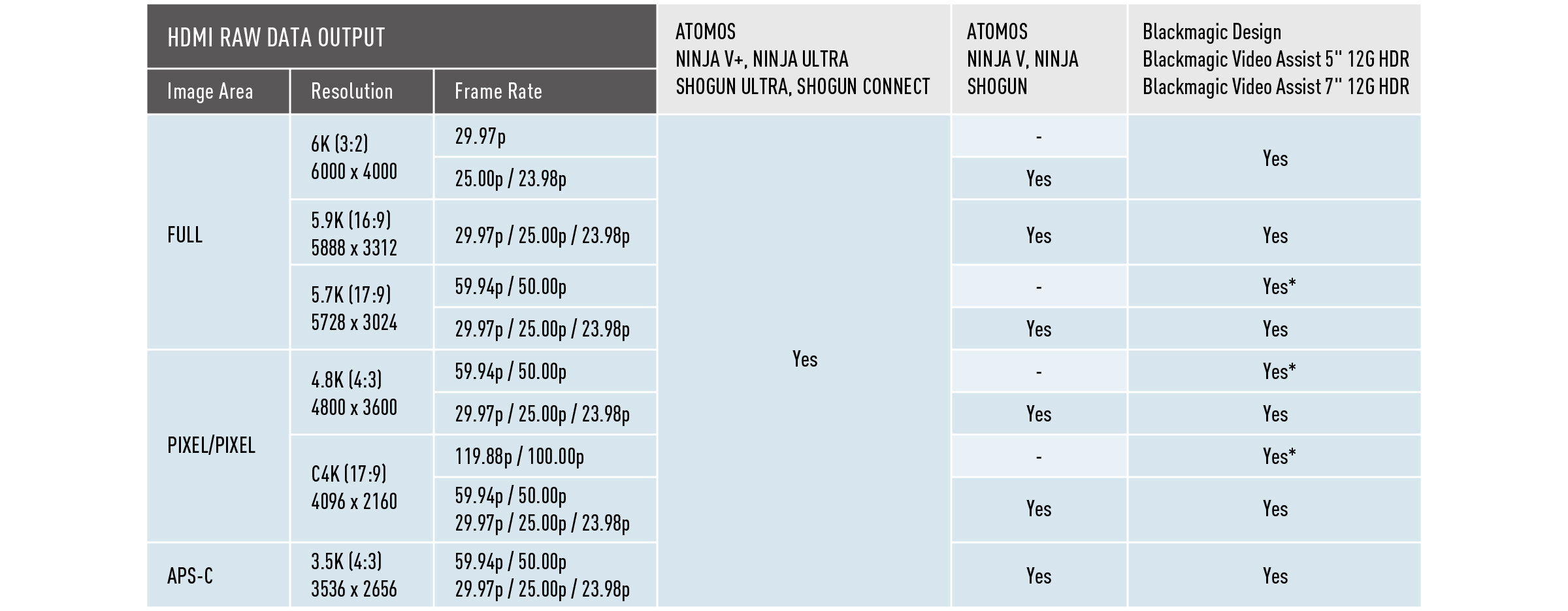 RAW video data output