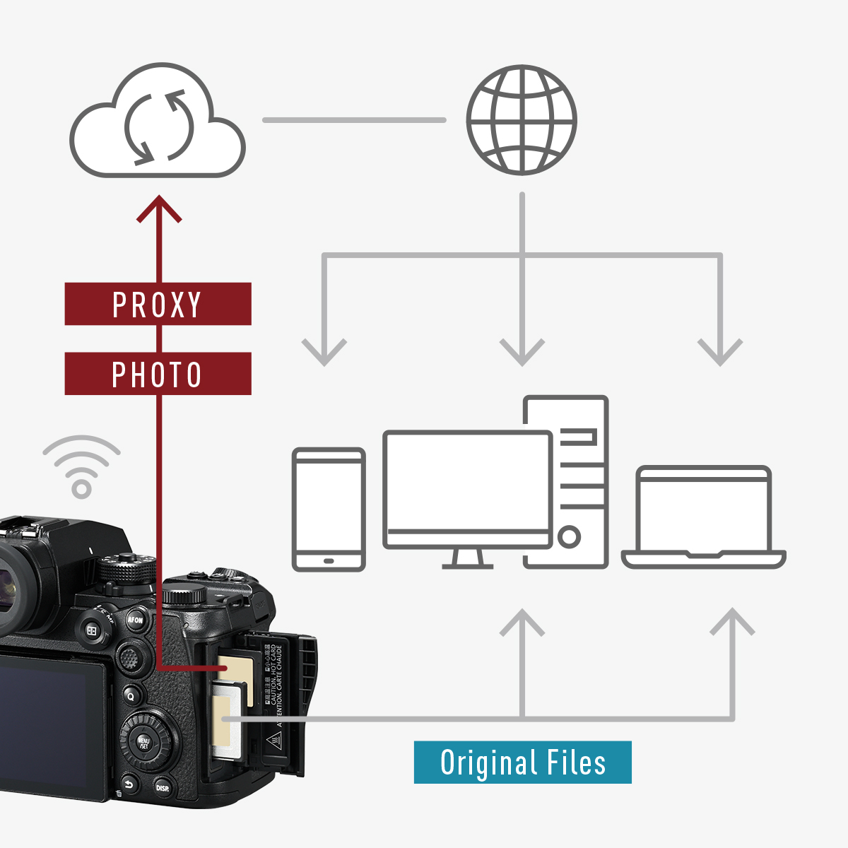 Enables cloud-based sharing and collaborative work