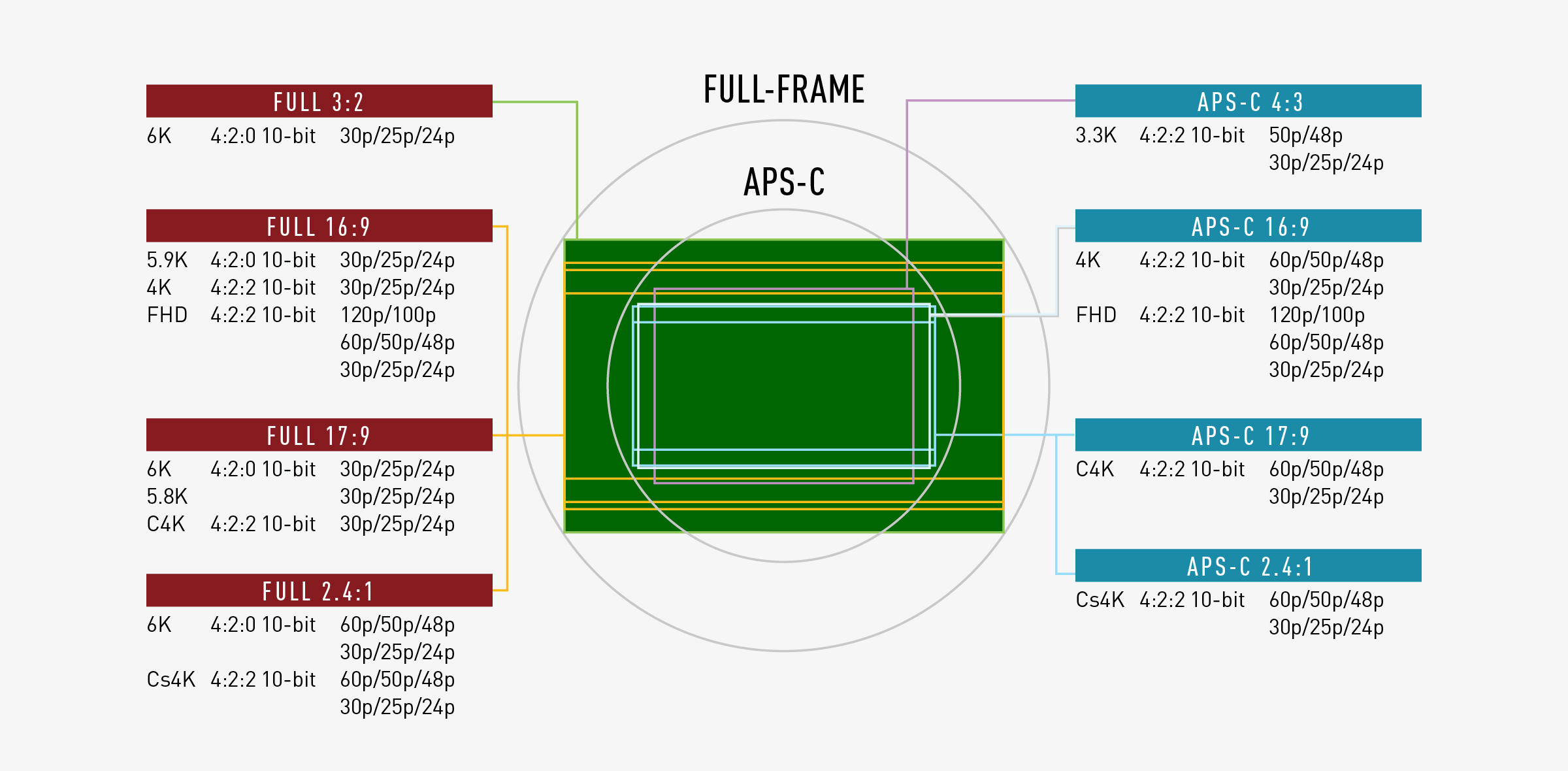 Szeroka gama trybów nagrywania wideo, które spełniają wymagania profesjonalnych procesów produkcyjnych