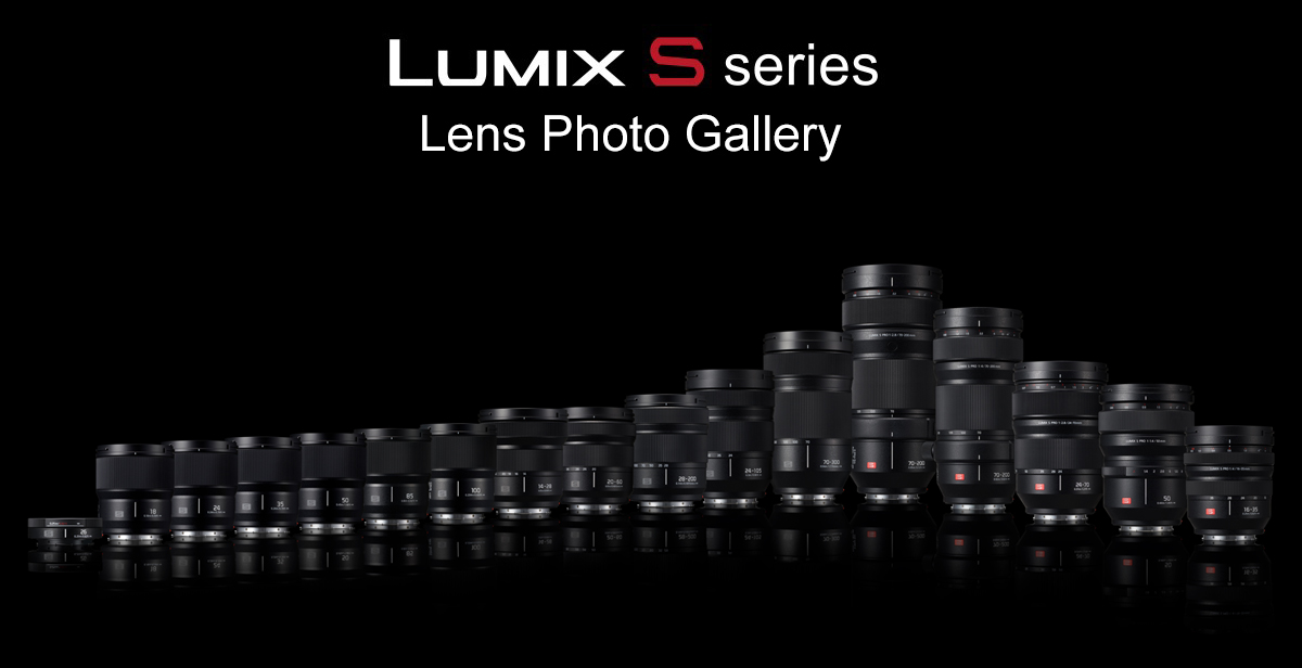 LUMIX S series Lens Gallery