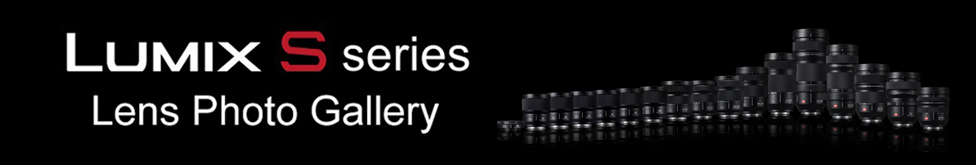 LUMIX S Series