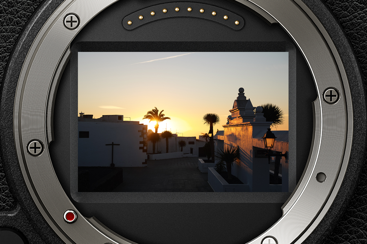 Flexible Framing (Open Gate)