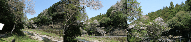 Przykładowe zdjęcia obiektywów serii F1.8