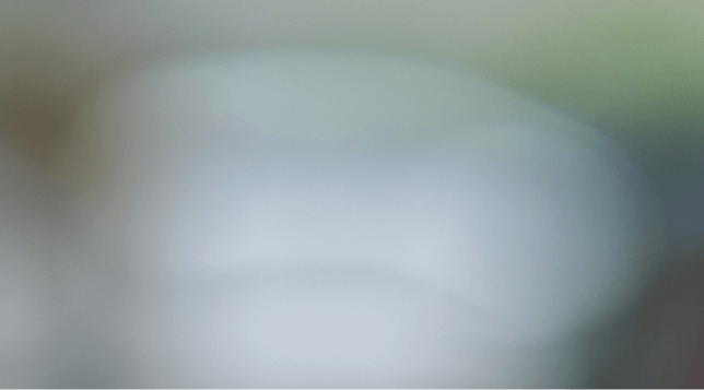 Sample image of Bokeh with S-X50.