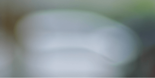 Sample image of Bokeh with a generic lens.